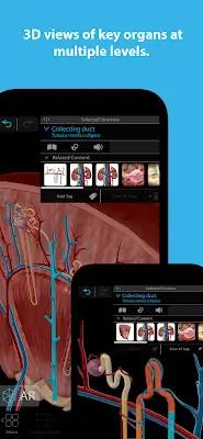 Human Anatomy Atlas 2024 Screenshot 2