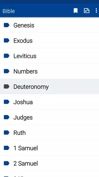 Spurgeon Bible Commentary Ảnh chụp màn hình 2