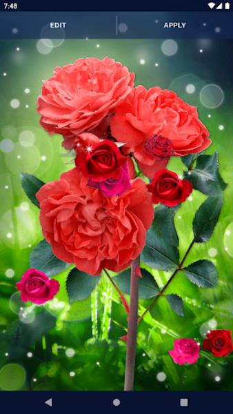 Schermata Red Rose Live Wallpaper 1