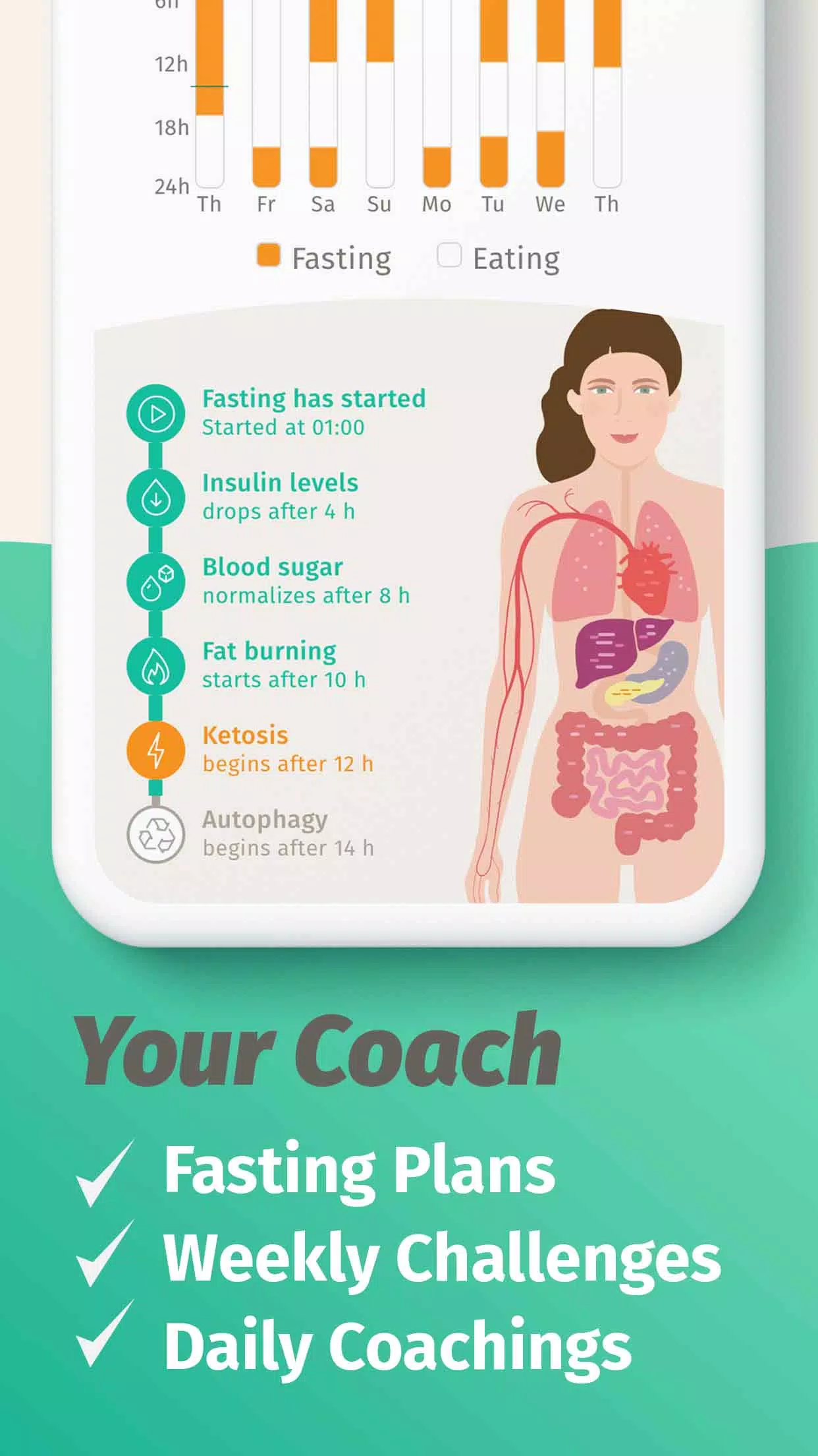 BodyFast Screenshot 4