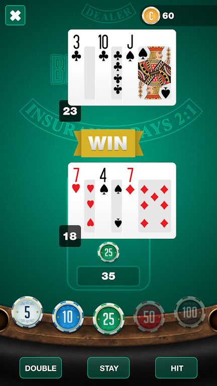 BlackJack TwentyOne Captura de pantalla 2