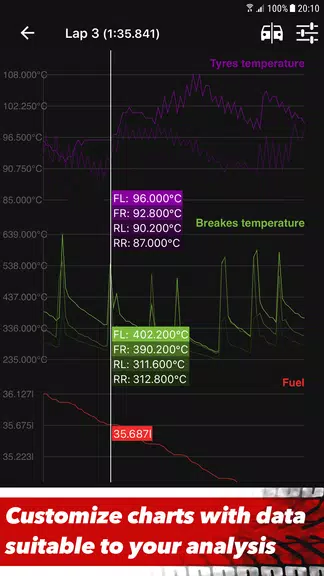 Sim Racing Telemetry Ảnh chụp màn hình 2