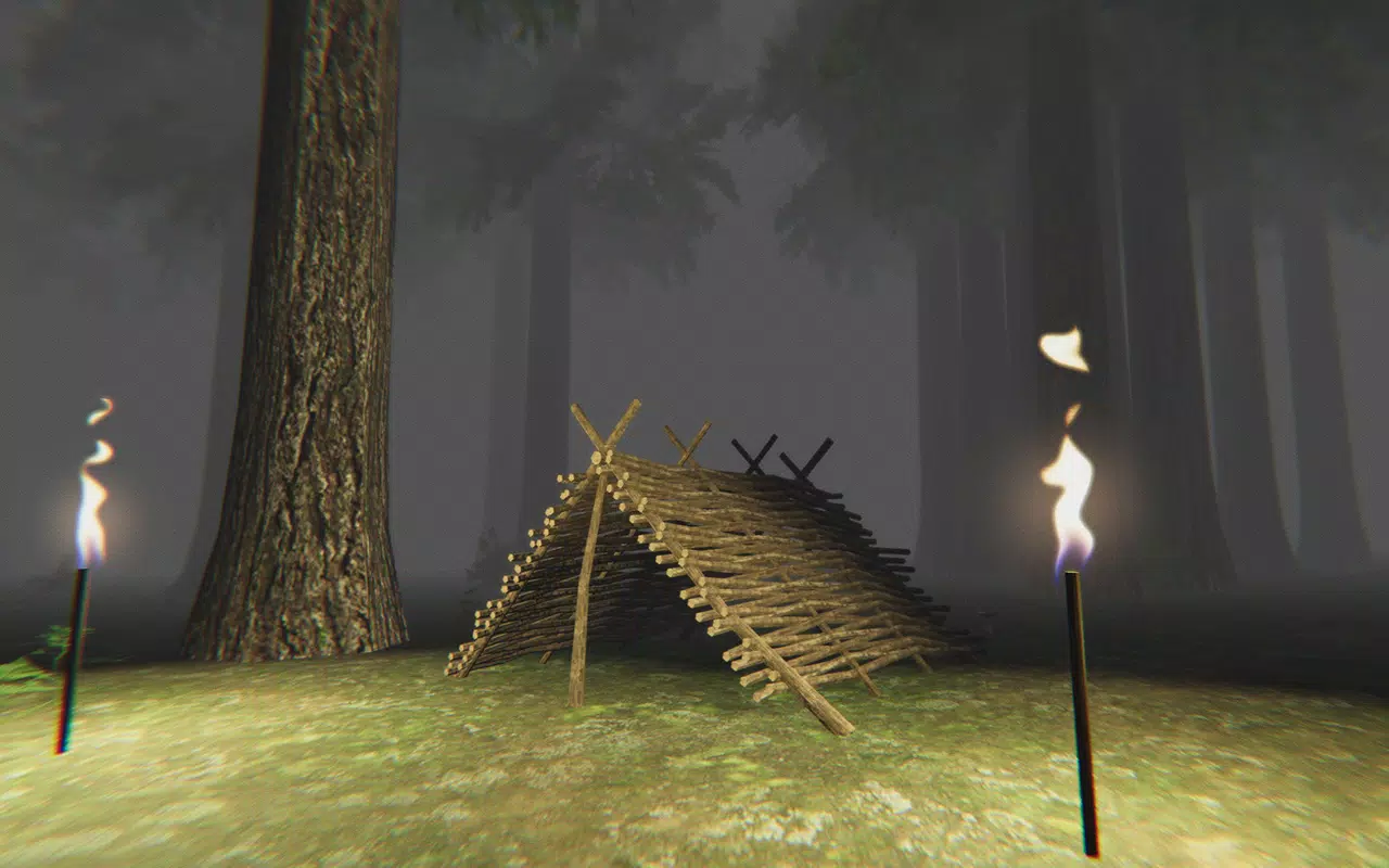 Trapped in the Forest Screenshot 3