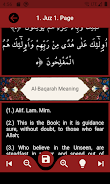 The Holy Quran and its Meaning Ảnh chụp màn hình 4