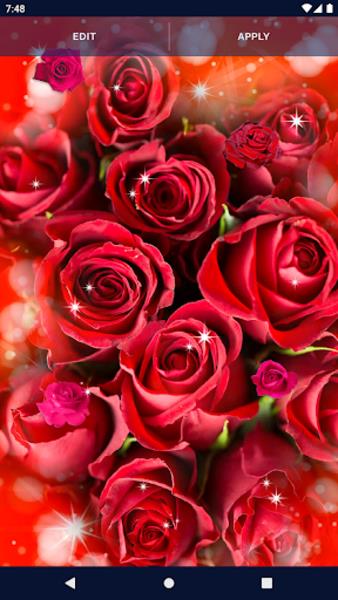 Schermata Red Rose Live Wallpaper 2