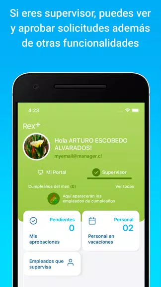 Schermata Rex+ Remuneraciones 2