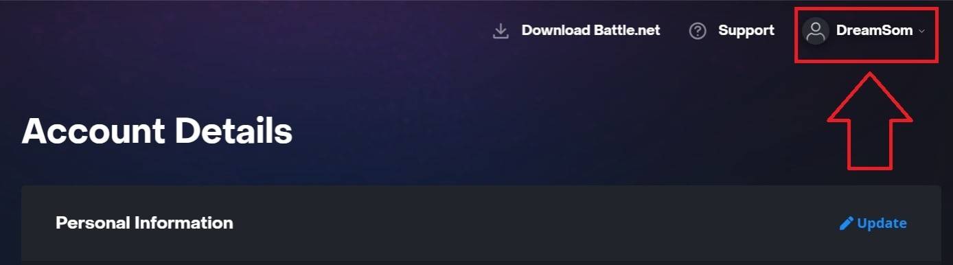 Changing Your BattleTag on PC