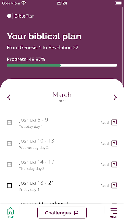 Schermata Customized Biblical Plan 2