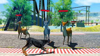 Doberman Dog Simulator Ekran Görüntüsü 2