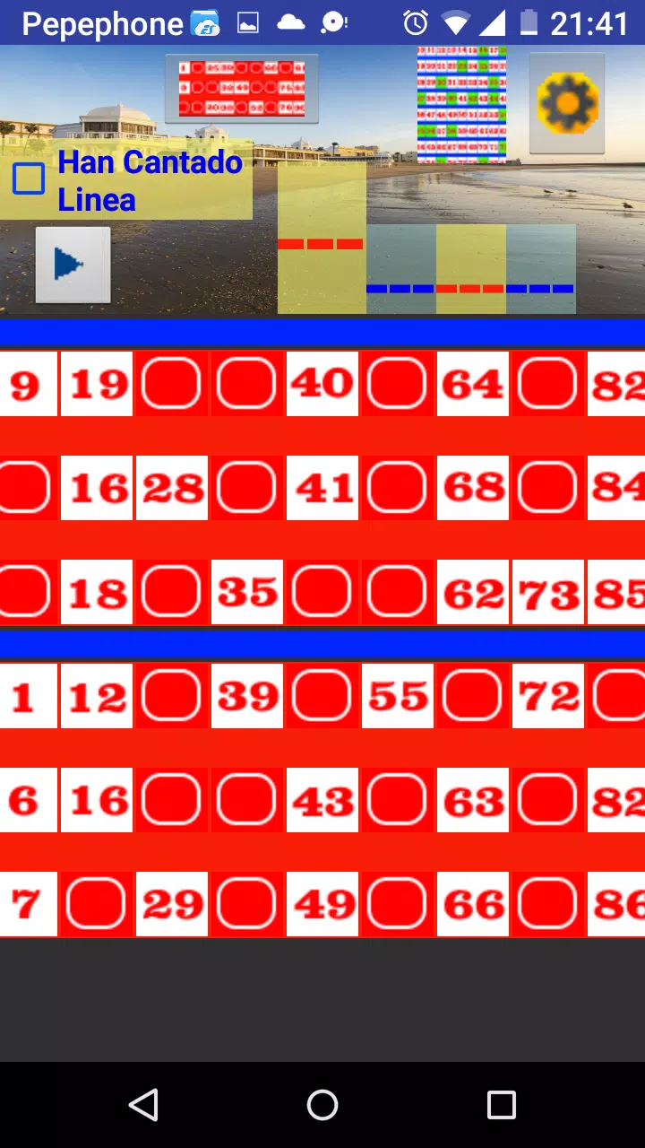 Bingo Caletero Screenshot 2