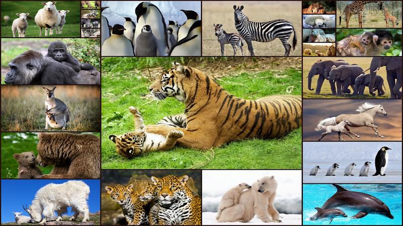 Baby Animal Jigsaw Puzzles स्क्रीनशॉट 1