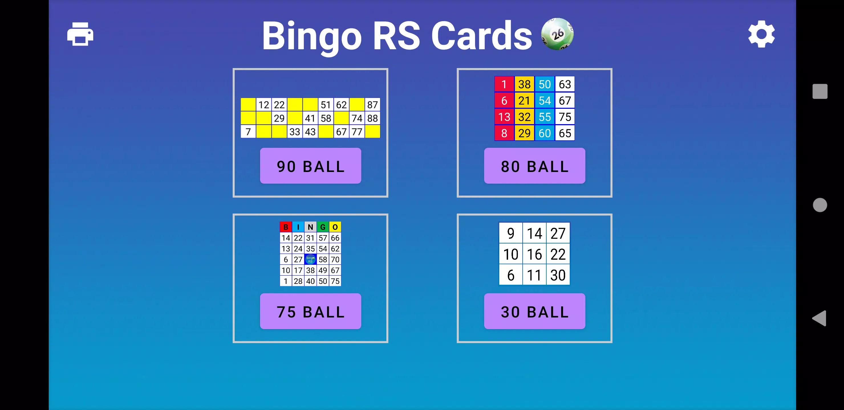 Bingo RS Cards Captura de tela 1