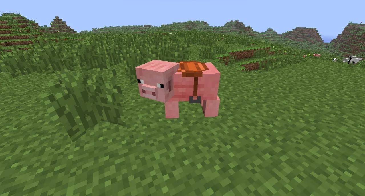 Trova un amico rosa e sella