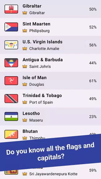 Geomi — Flags & Countries Ảnh chụp màn hình 3