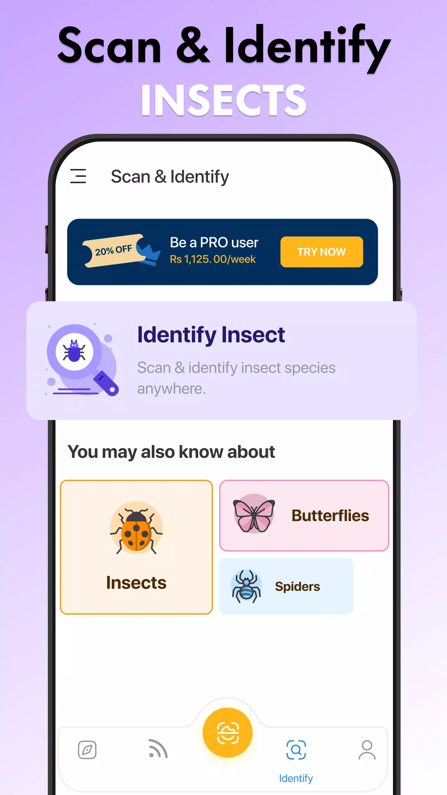 Insect Identifier Bug Identify Captura de tela 4