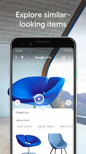 Google Lens স্ক্রিনশট 3