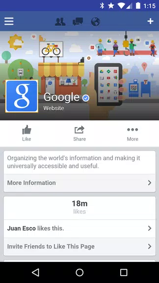 Tinfoil for Facebook Ekran Görüntüsü 1