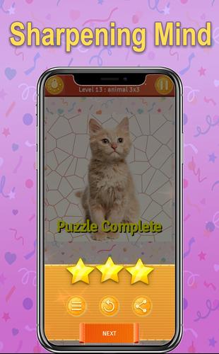 Photo Puzzle Zrzut ekranu 2