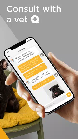 Petcube ภาพหน้าจอ 4
