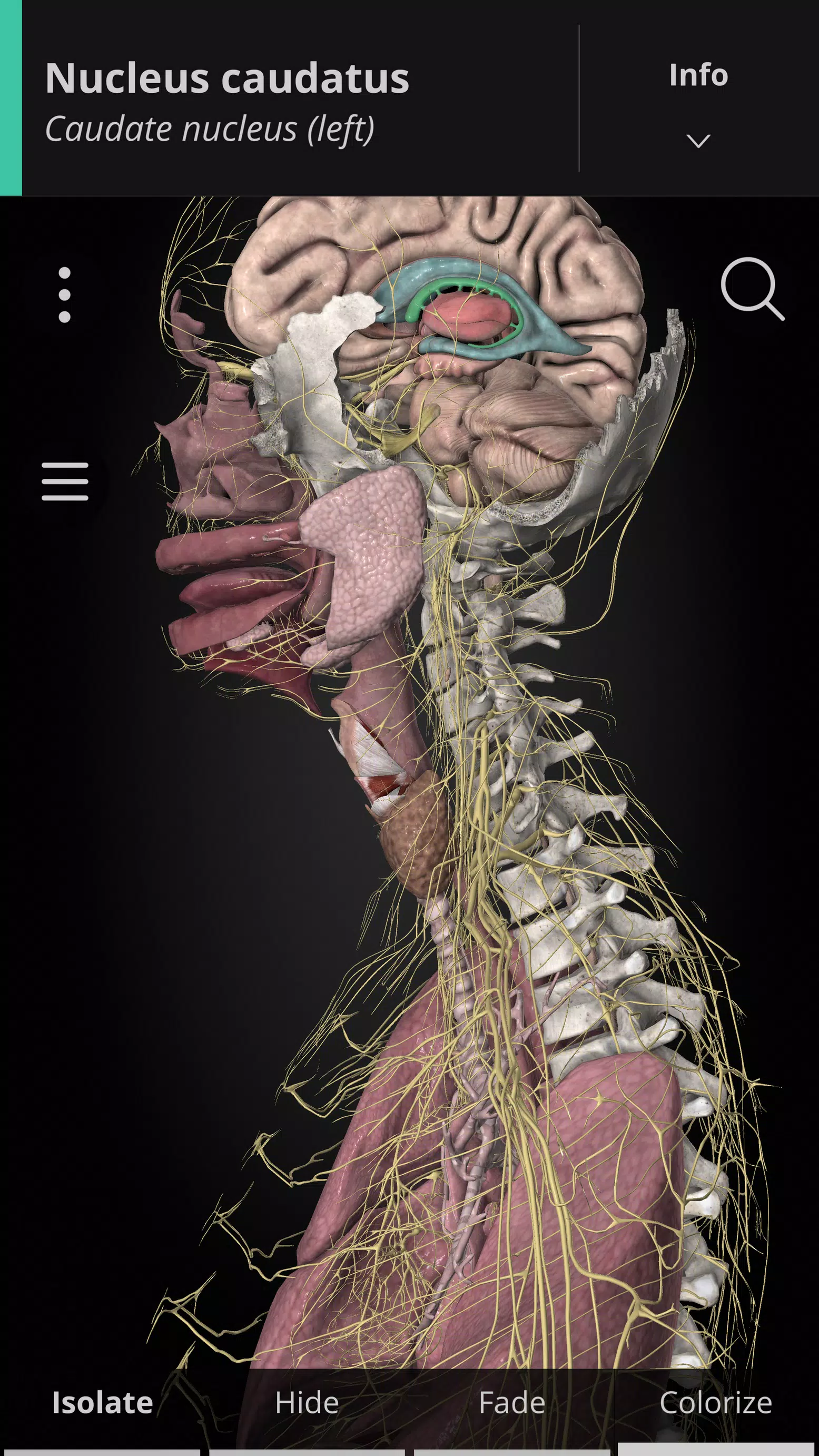 Anatomyka - 3D Anatomy Atlas應用截圖第1張