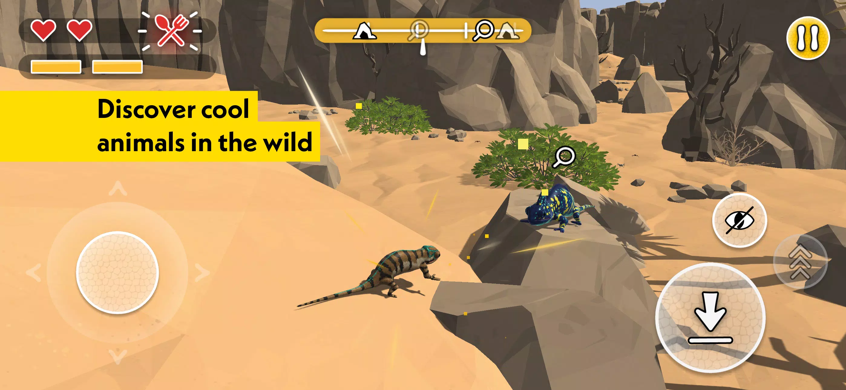 PLANET WOW Wildlife Adventure 스크린샷 4
