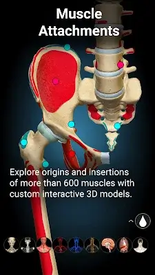 Anatomy Learning - 3D Anatomy 스크린샷 4