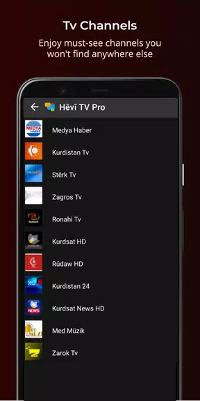 Hêvî TV Pro應用截圖第4張