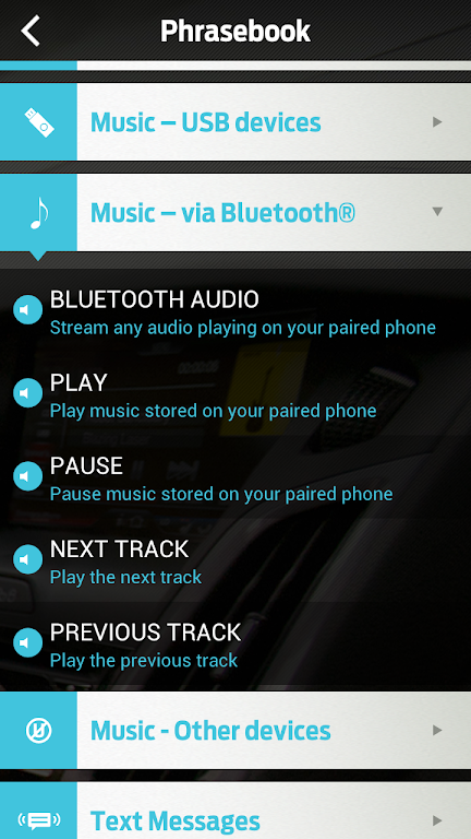 Ford SYNC™ Zrzut ekranu 3