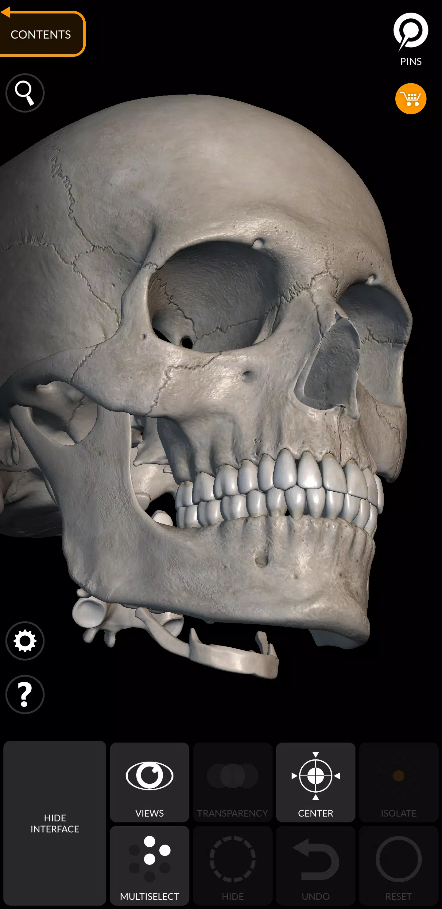 Skeleton Tangkapan skrin 4