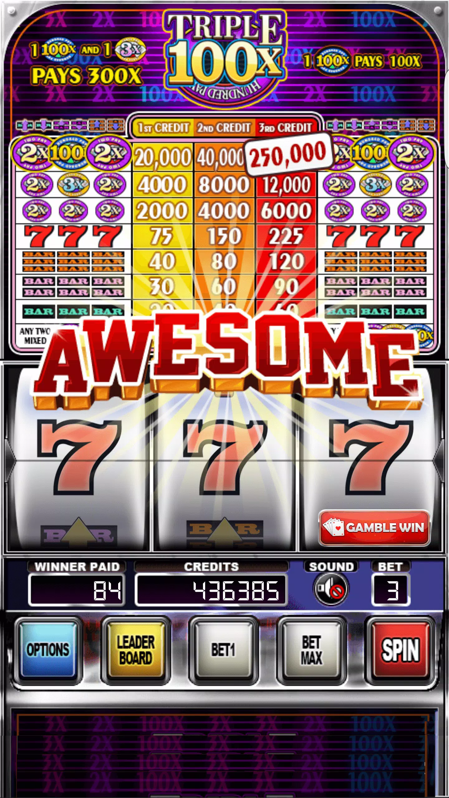 Double Wild Slots 스크린샷 3