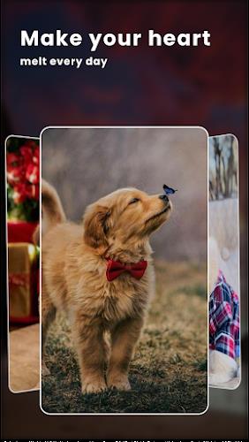 Puppy Love: Cute Dog Wallpaper 스크린샷 3