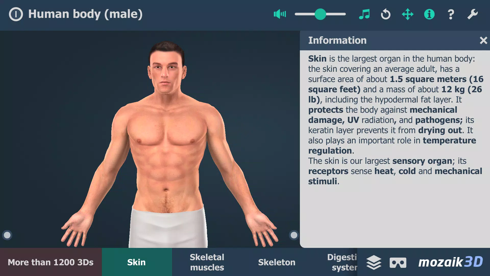 Human body (male) 3D scene應用截圖第1張