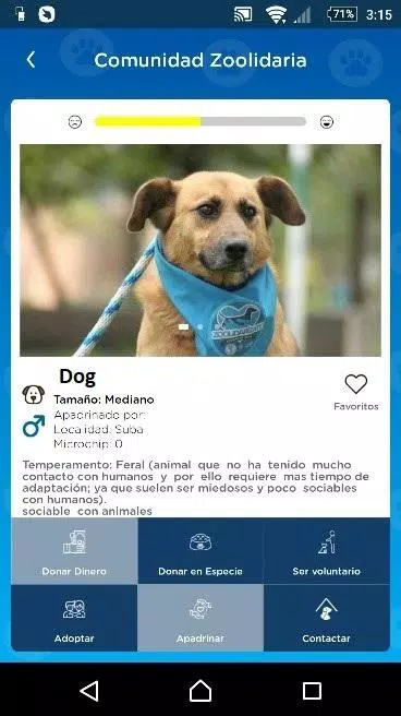 Schermata Distrito Appnimal 2