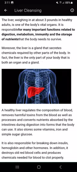 Top Liver Cleansing Superfoods Screenshot 2