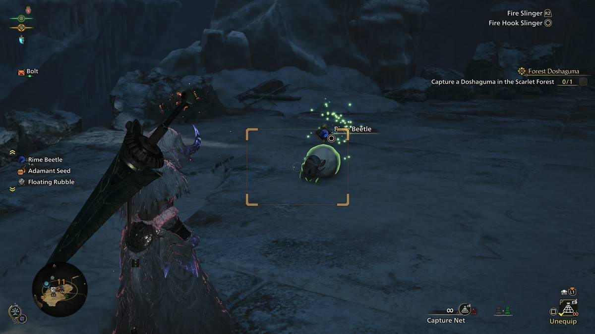 Catturare lo scarabeo rime