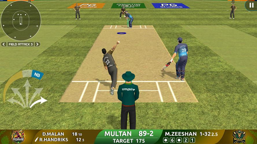 Cricket Game: Pakistan T20 Cup স্ক্রিনশট 2