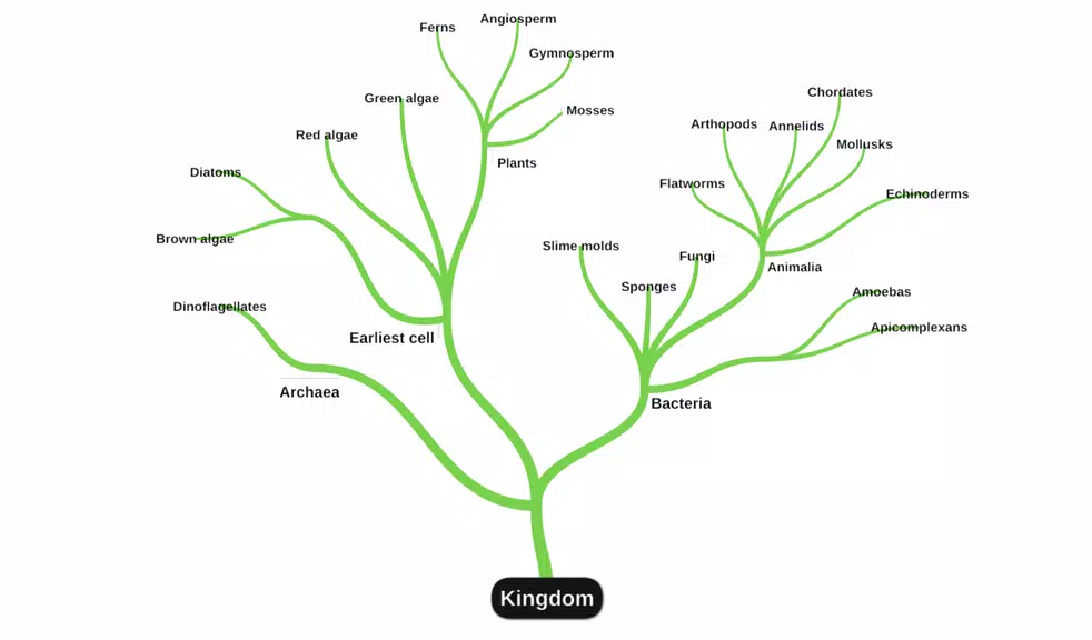 Schermata miMind - Easy Mind Mapping 2