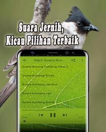 Suara Burung Kutilang Offline應用截圖第4張