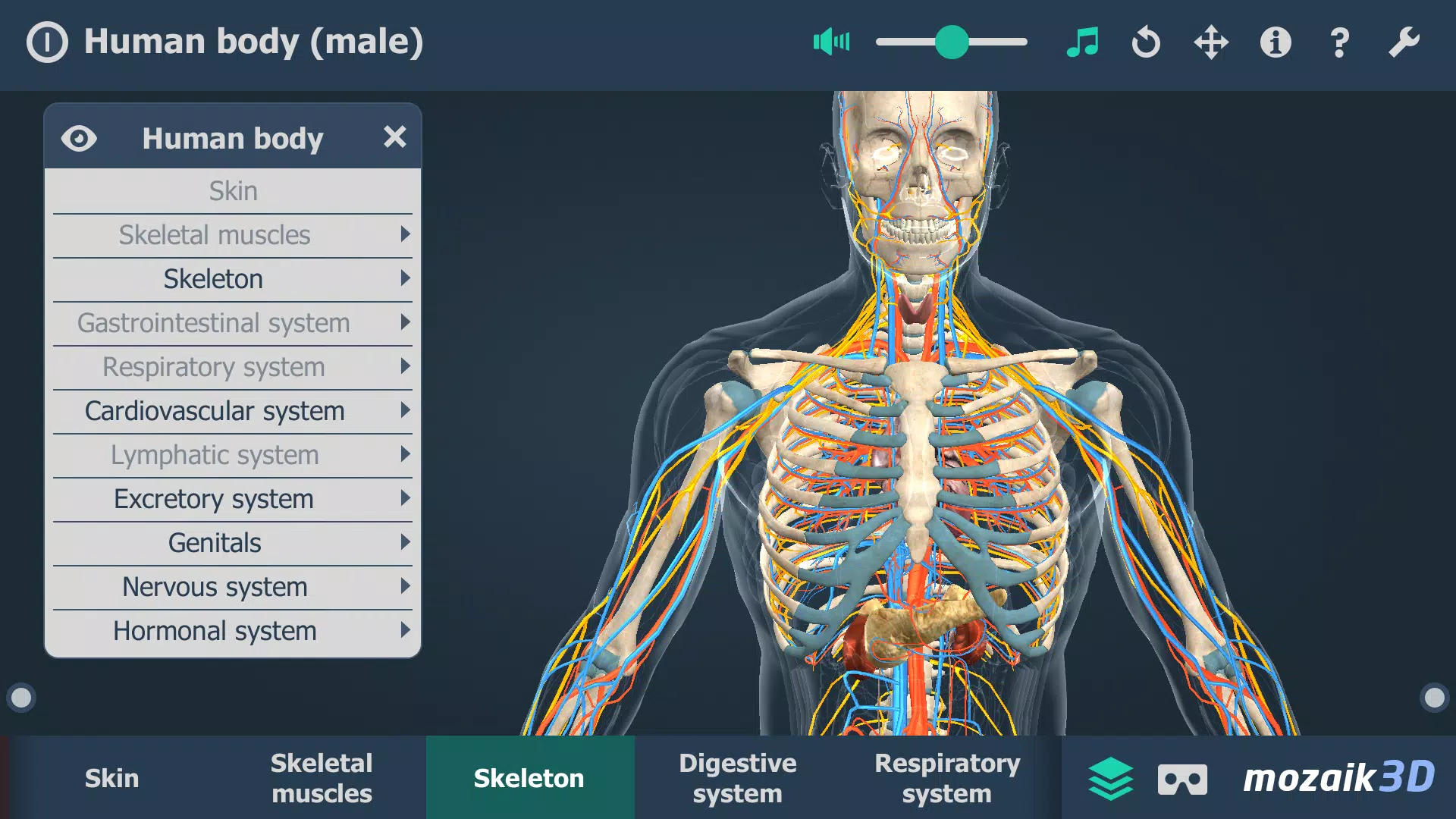 Human body (male) 3D scene應用截圖第4張
