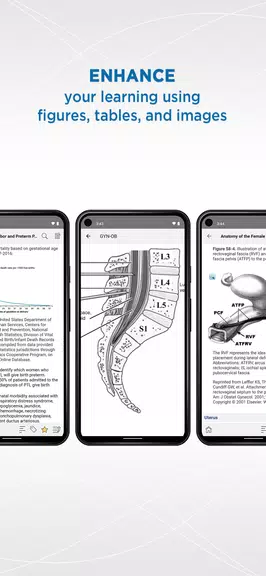 Gynecology and Obstetrics Screenshot 2