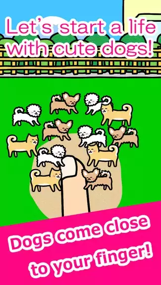 Play with Dogs - relaxing game Tangkapan skrin 1