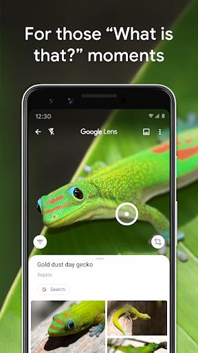 Google Lens স্ক্রিনশট 1