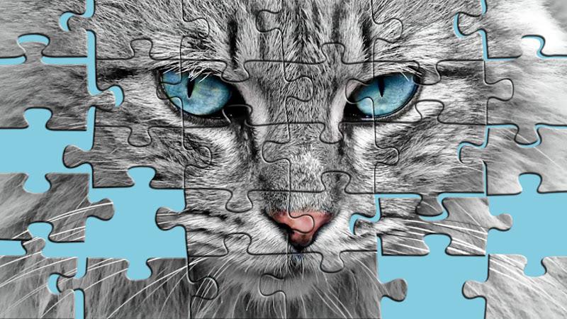 Schermata Big puzzles with cats 1