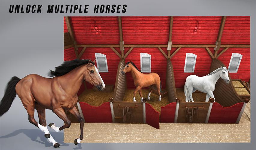 Horse Show Jump: Horse Games 스크린샷 2