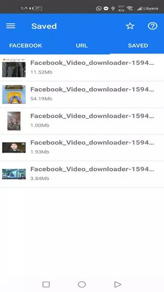 Facvid: Reels video downloader应用截图第2张