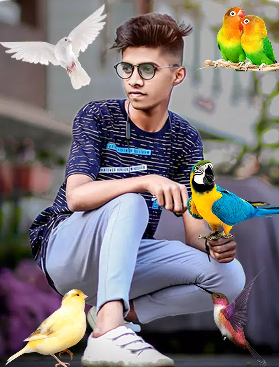 Birds Photo frame : Bird photo Captura de tela 3