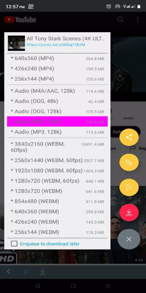 Schermata TubeMate Video Downloader 3