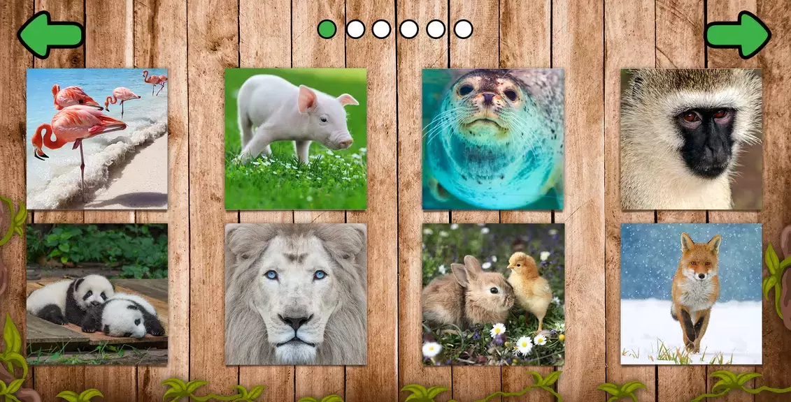 Animal puzzle games offline স্ক্রিনশট 2