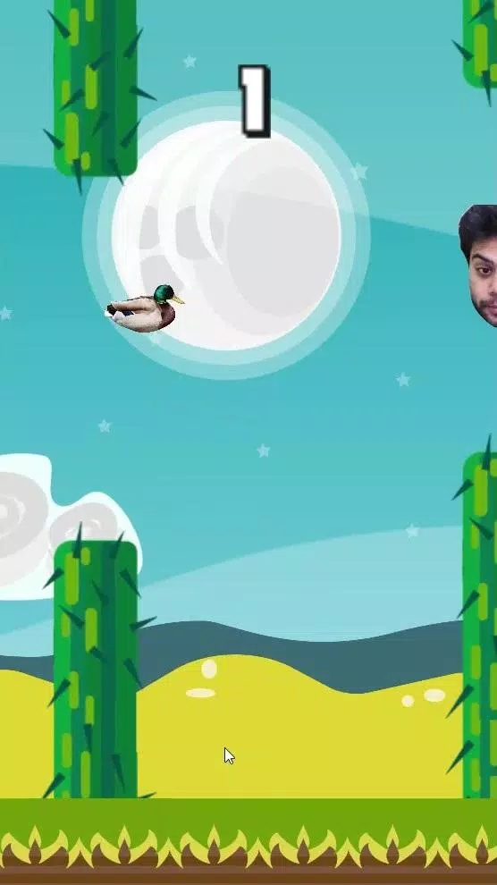 DuckyDuck Screenshot 2