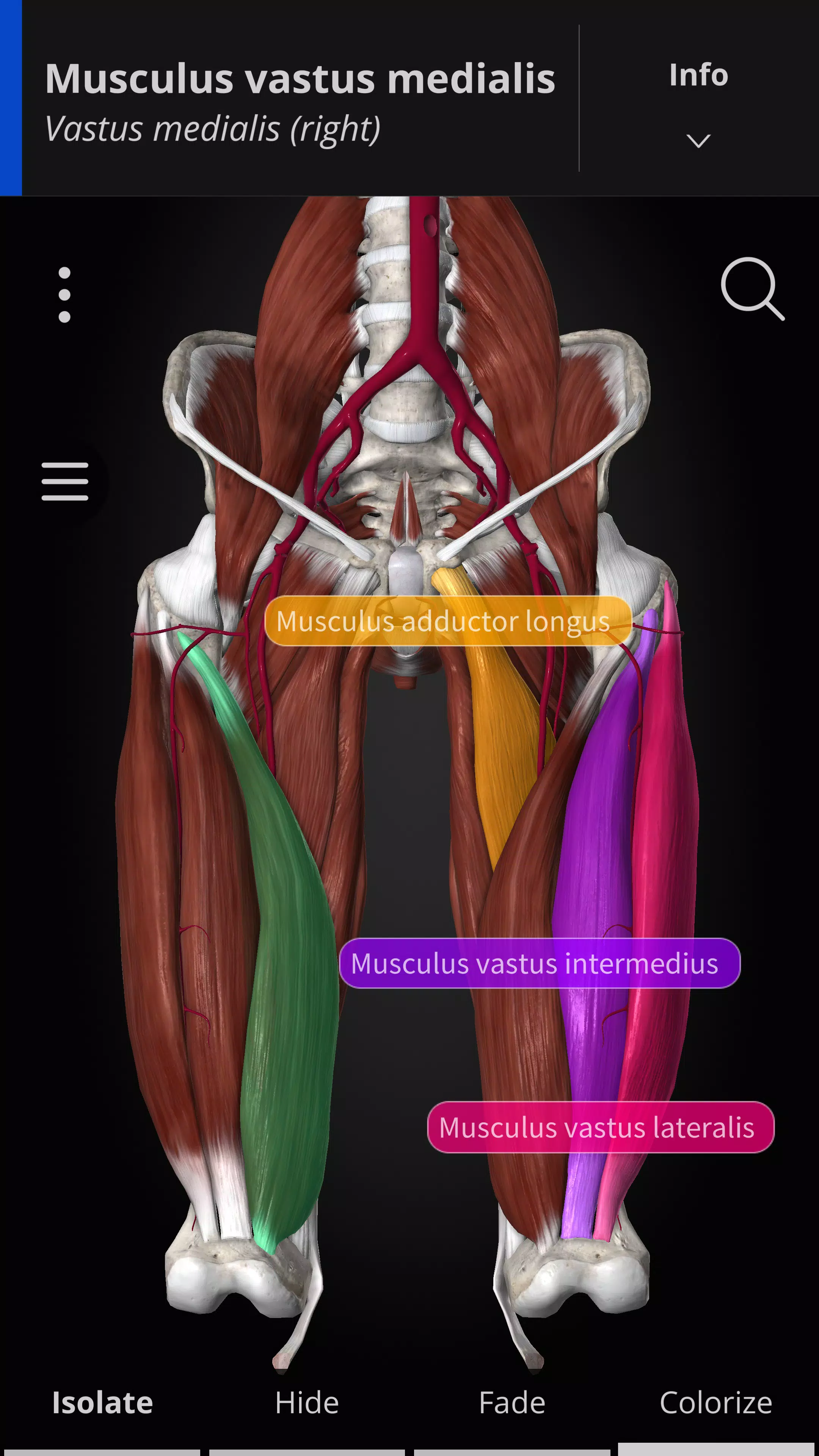 Anatomyka - 3D Anatomy Atlas應用截圖第2張